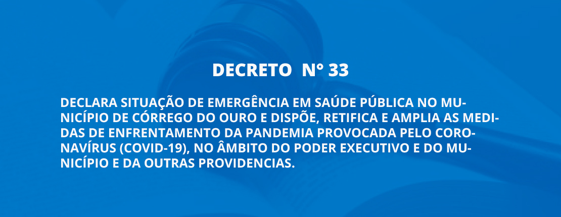 DECRETO N° 33